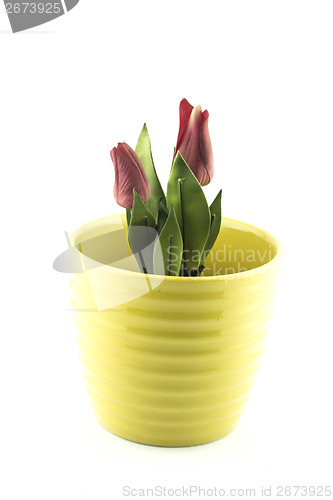 Image of pottery flowerpot