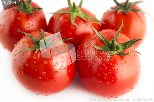 Image of Fresh red tomato