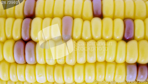 Image of Corn