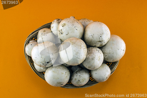 Image of button mushrooms