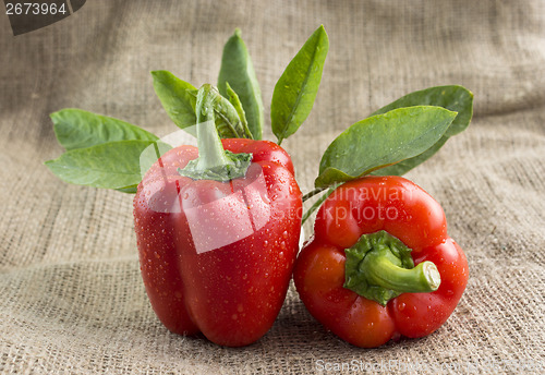 Image of Red sweet pepper 