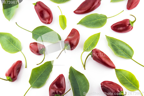 Image of hot chili pepper