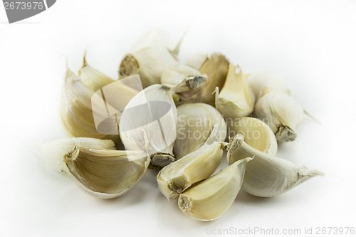 Image of Garlic