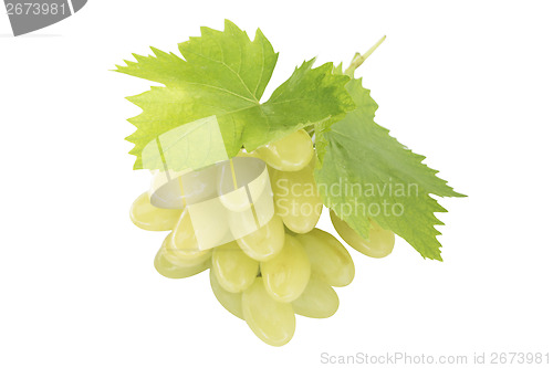 Image of Ripe grapes with leaf