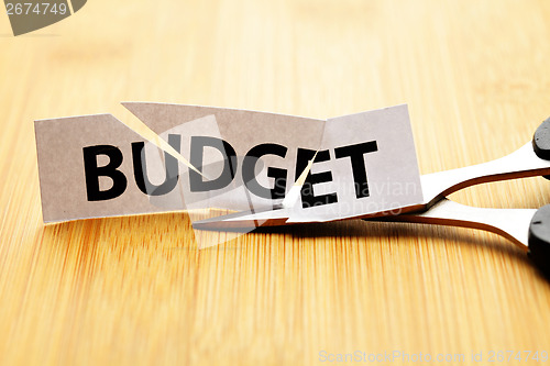 Image of Budget cut