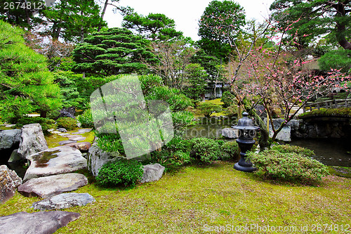 Image of Japanese style garden