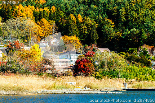 Image of Autumn forest and village