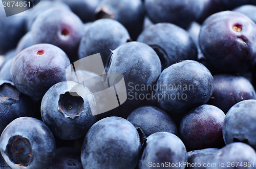 Image of Blueberry