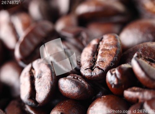 Image of Coffee bean