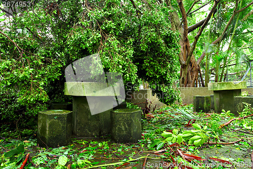 Image of Park destroyed by typhoon