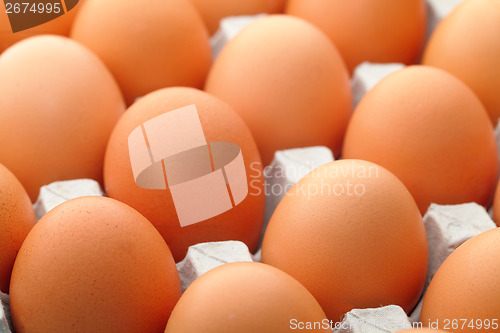 Image of Brown egg in package