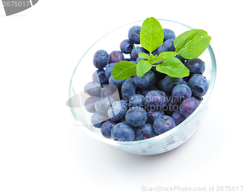 Image of Blueberry in bowl