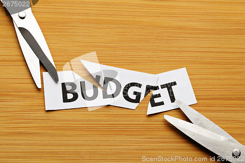 Image of Cut budget