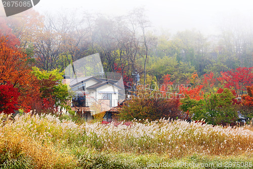 Image of Wooden house in forest during autumn