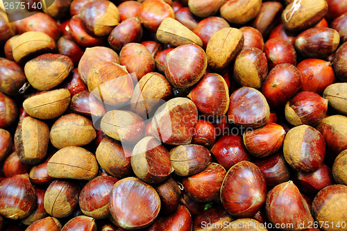 Image of Chestnut