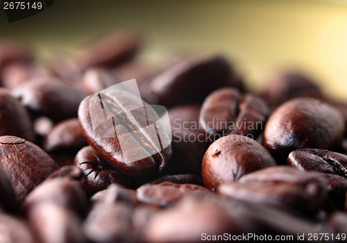 Image of Coffee bean close up