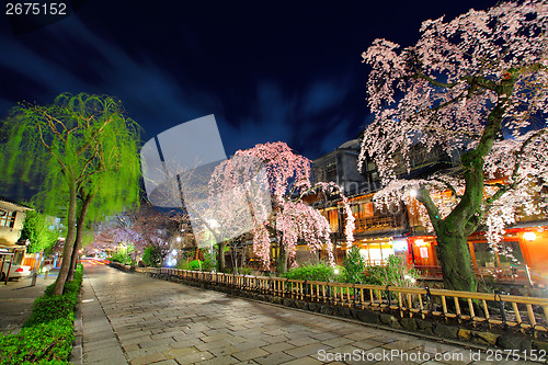 Image of Gion in Kyoto with sakura tree at night