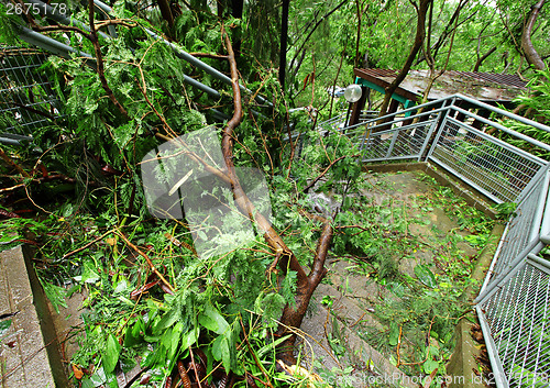 Image of Damaged after typhoon