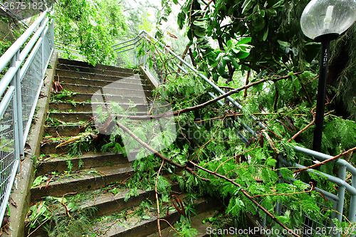 Image of Destroyed after typhoon