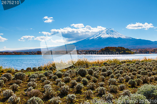 Image of Mountain fuji and lake