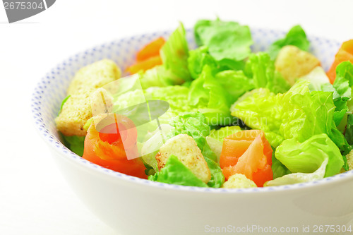 Image of Fresh salmon salad