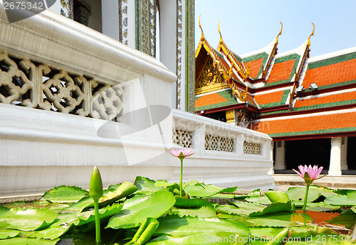 Image of Lotus pond in Thai temple