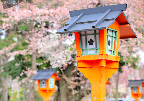 Image of Red lantern with sakura tree