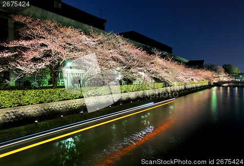 Image of Biwa lake canal with sakura tree besides