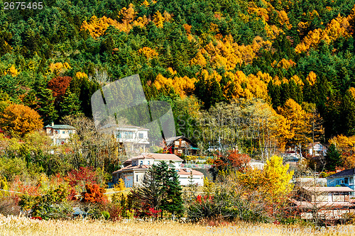 Image of Village in forest during autumn season