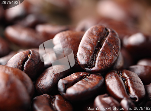 Image of Coffee bean close up