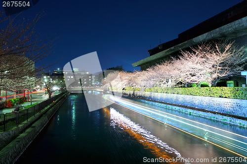 Image of Lake with sakura cherry in kyoto at night