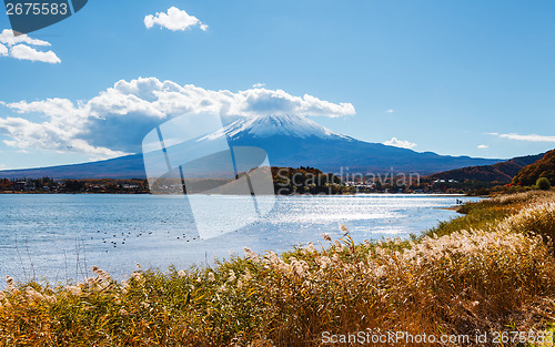 Image of Mountain Fuji and lake kawaguchi