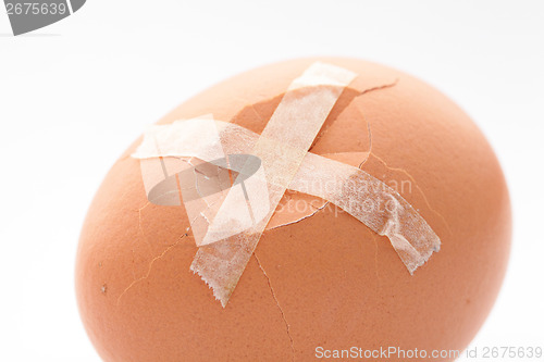 Image of Brown egg with plaster