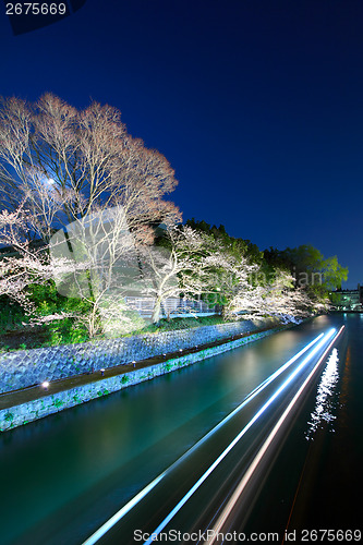 Image of Biwa lake canal with sakura tree at night