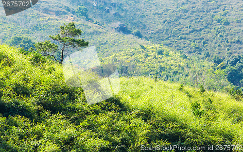 Image of Mountain