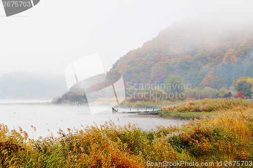 Image of Misty lake in autumn