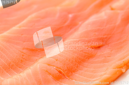 Image of Salmon