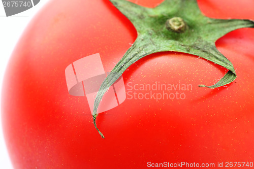 Image of Red tomato
