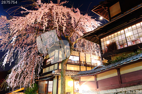 Image of Traditional japanese house with sakura tree at night