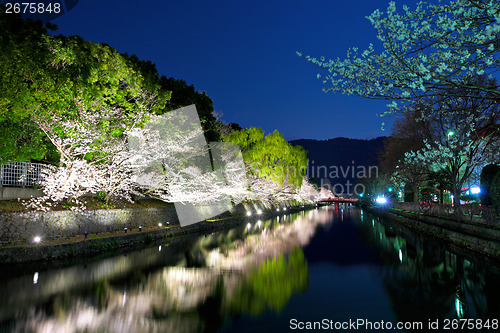 Image of Biwa lake canal with sakura tree
