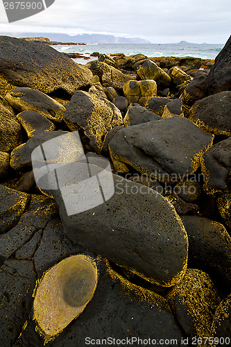 Image of in lanzarote  isle foam rock landscape  stone    water 