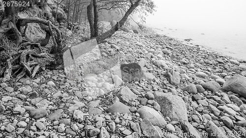 Image of Coast of Baltic sea in a fog