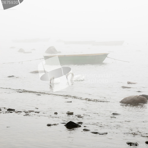Image of Fishing boat at coast foggy in the morning