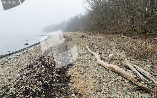 Image of Coast of Baltic sea in a fog