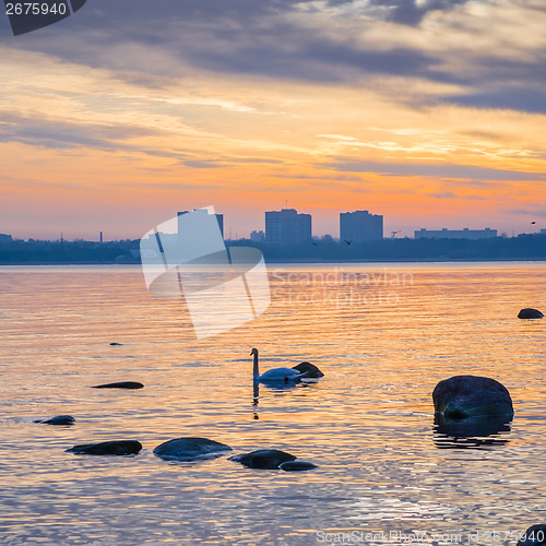 Image of Beautiful sunrise on the sea. Views of Tallinn.