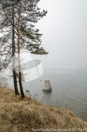 Image of Coast of Baltic sea in a fog