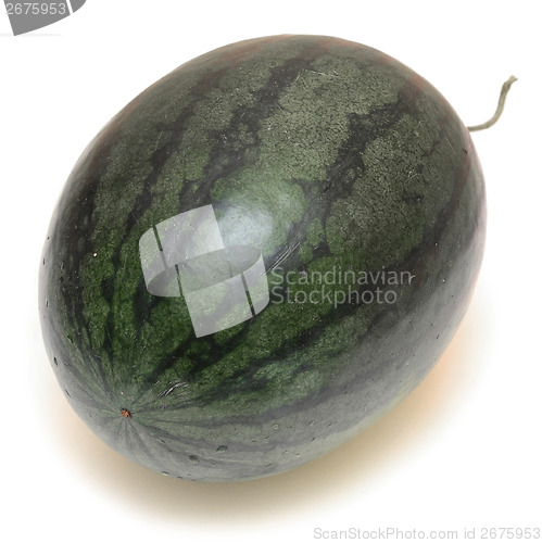 Image of watermelon
