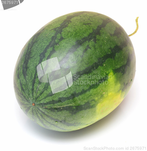 Image of watermelon