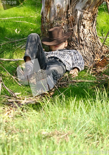 Image of Asleep under a gum tree