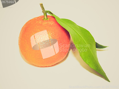 Image of Retro look Tangerine picture